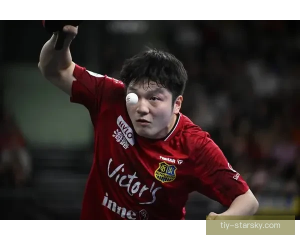 雨果加盟萨尔布吕肯携手樊振东